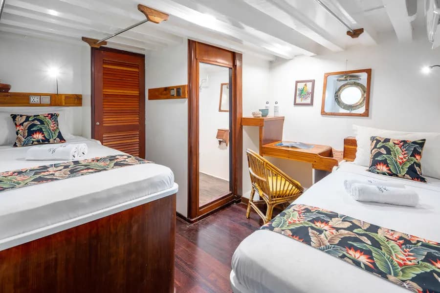 MSY Seahorse Lower Deck Cabin - image