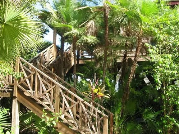 Shaded deck area