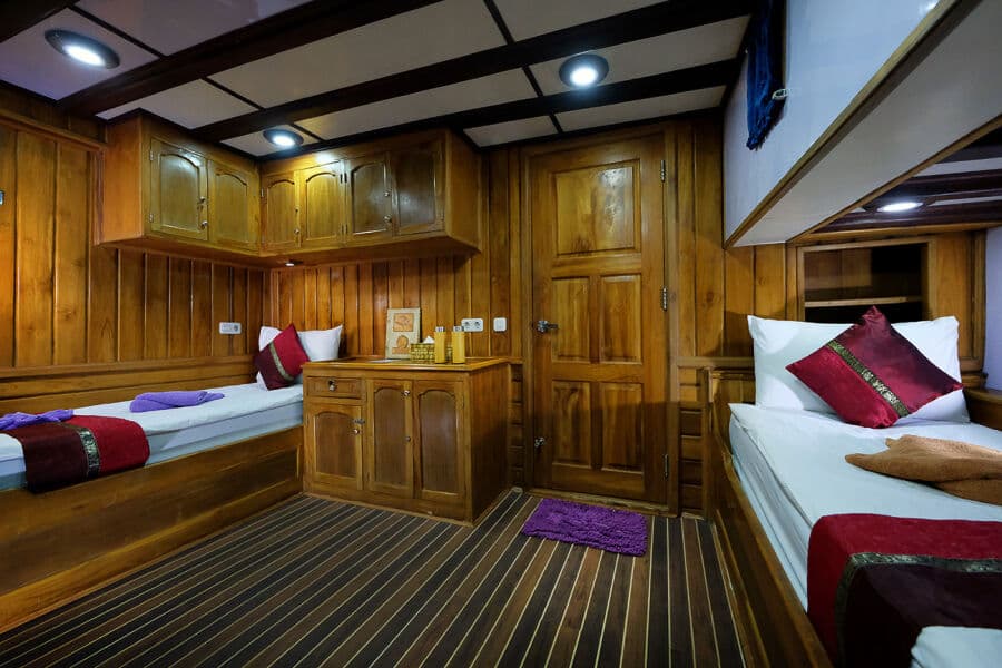 Premium Twin/Double Share Lower Deck - image
