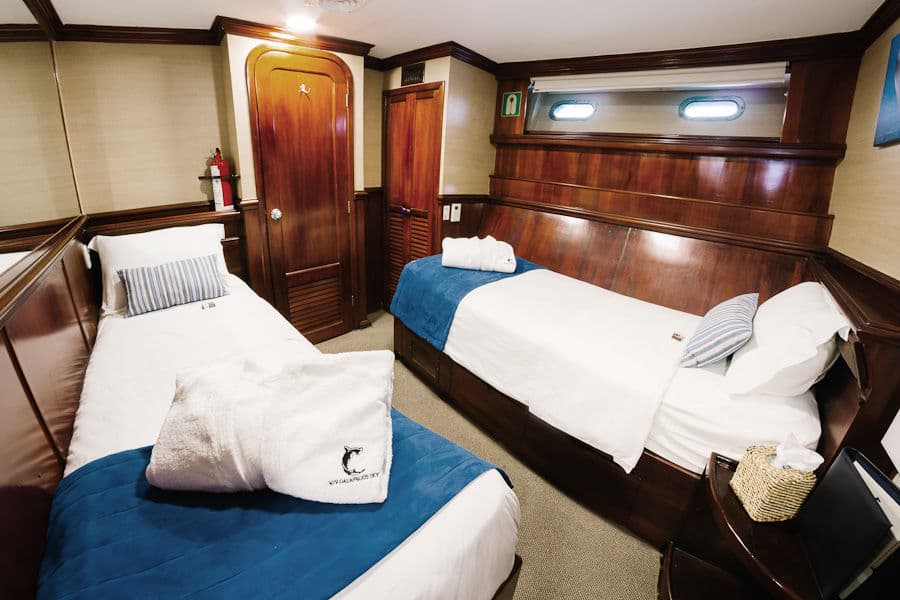 Deluxe Twin Lower Deck - image