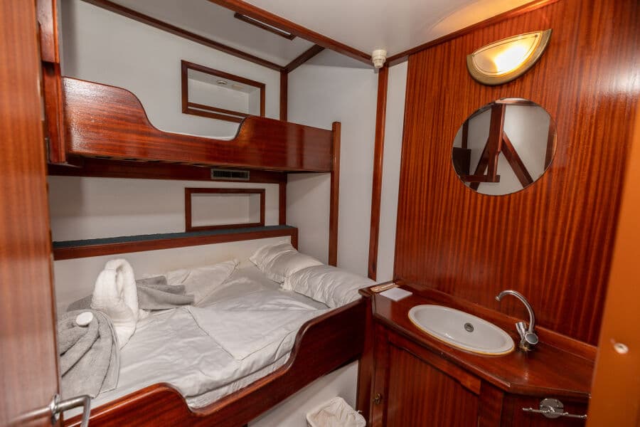 Double (Cat A) Lower Deck - image