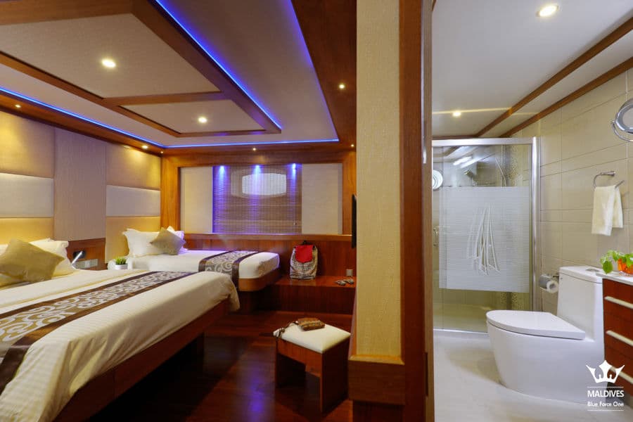 Deluxe Lower Deck - image