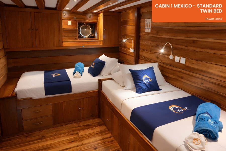 Standard Lower Deck - image