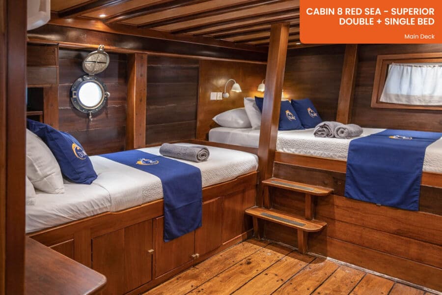 Superior (Double Bed + Single Bed) Main Deck - image