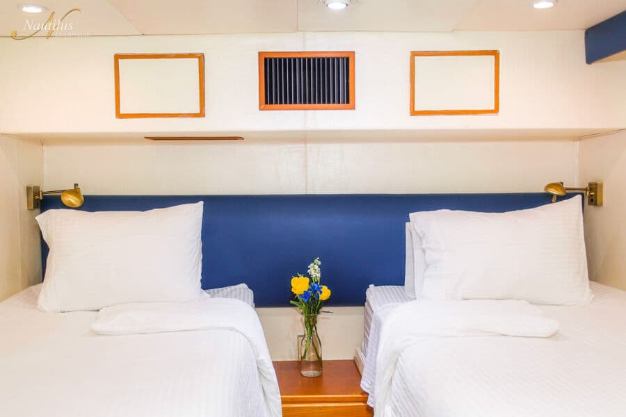Superior Twin Lower Deck - image