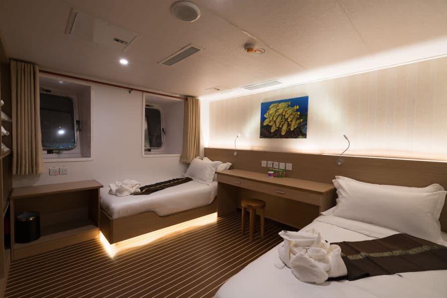 Stateroom - image Stateroom - image