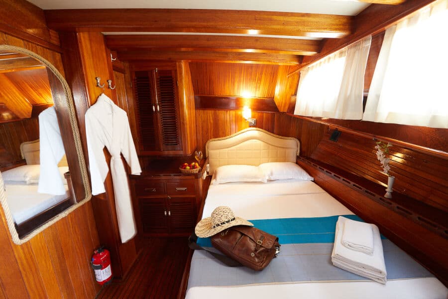 Double Lower Deck - image Double Lower Deck - image