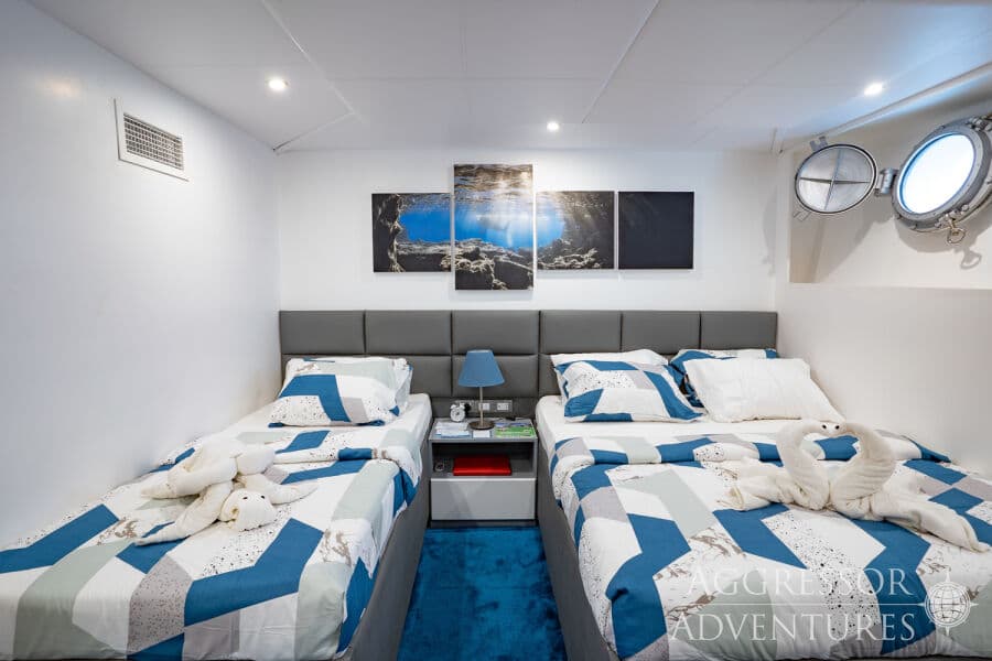 Deluxe Lower Deck - image