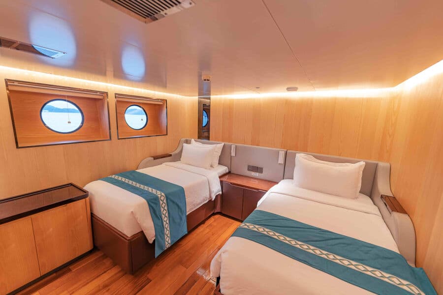 Deluxe Twin Lower Deck - image