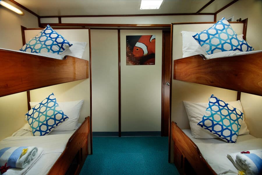 Standard Twin Lower Deck - image