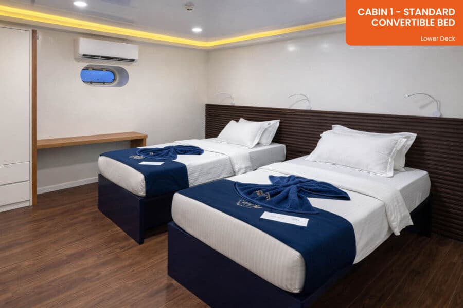 Standard (Convertible Bed) Lower Deck - image