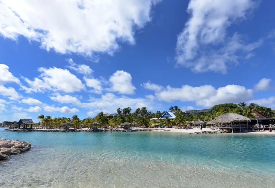 Lions Dive & Beach Resort Curaçao - image