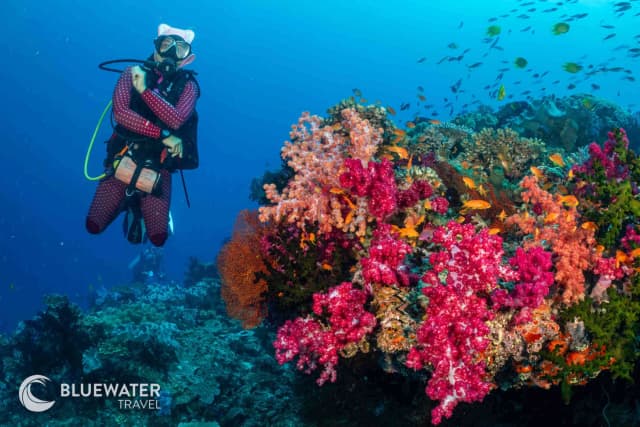 Fiji Trip Report November 2024 Fiji Trip Report November 2024
