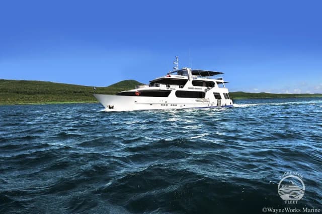 Liveaboard Dive Packing List (2025 Edition) Liveaboard Dive Packing List (2025 Edition)