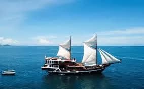 The Vision: Luxury Diving Adventures in Oman The Vision: Luxury Diving Adventures in Oman