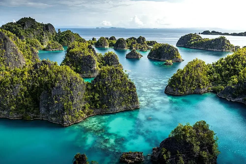 Best Diving in Indonesia - Top 10 - image Best Diving in Indonesia - Top 10 - image