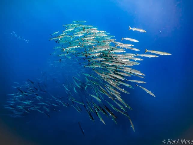 Andaman Islands - image Andaman Islands - image