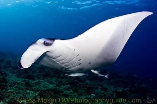 10. Maldives 10. Maldives