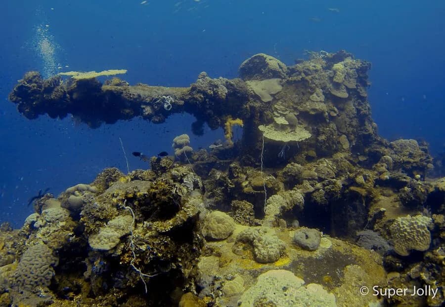 Bikini Atoll - image Bikini Atoll - image
