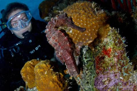 3. Bonaire 3. Bonaire