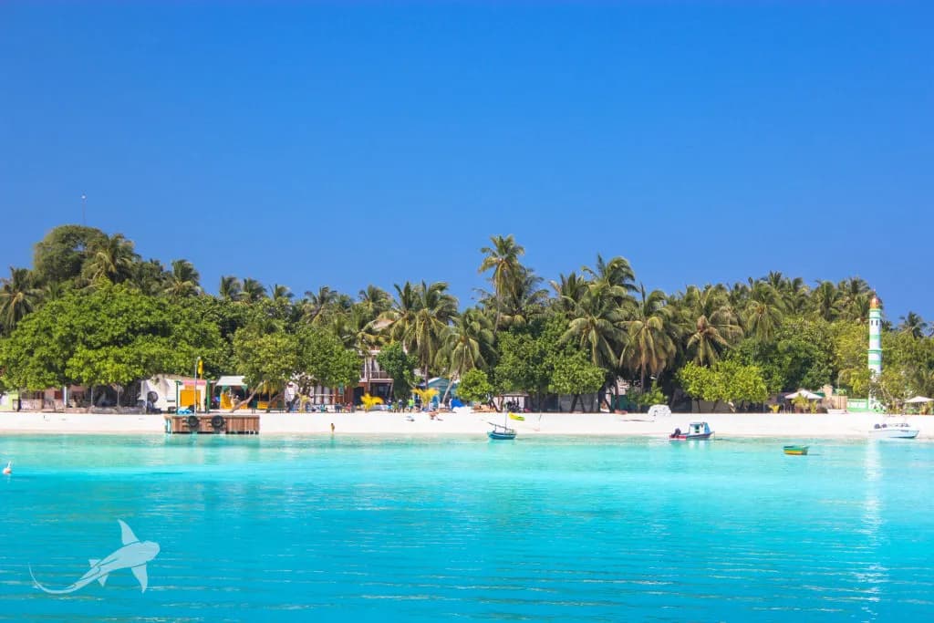 Fulidhoo Dive & Water Sports Maldives - image Fulidhoo Dive & Water Sports Maldives - image