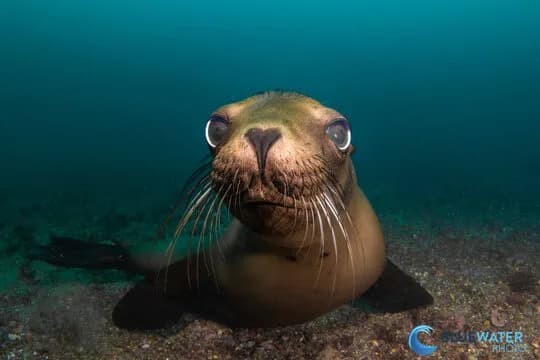 Explore Baja South To North Adventure October 2026 Explore Baja South To North Adventure October 2026