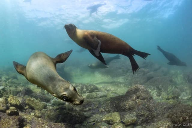 Explore Baja North To South Adventure October 2027 Explore Baja North To South Adventure October 2027