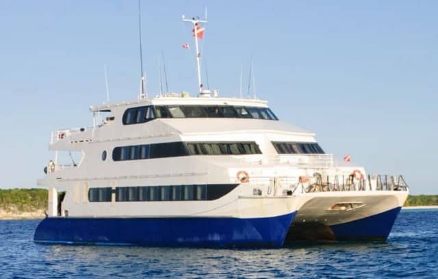 Aqua Cat Aqua Cat