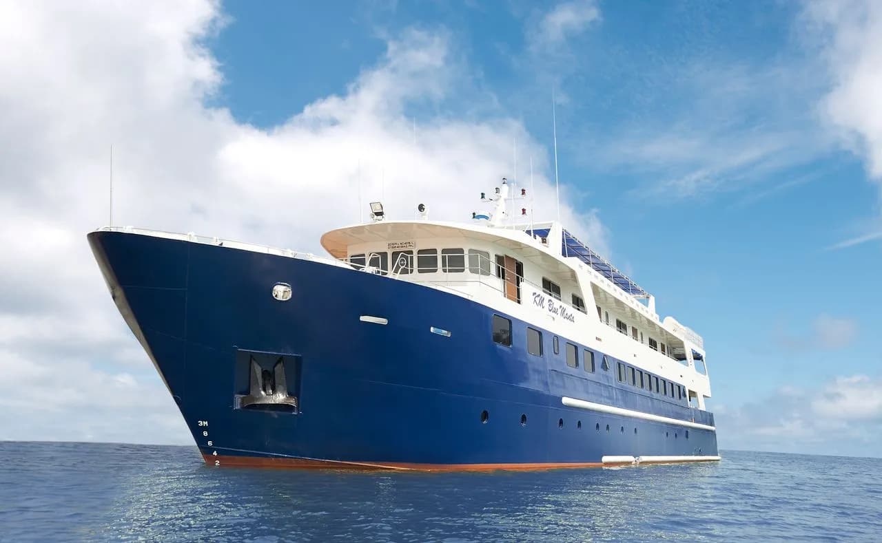 Blue Manta Explorer - image Blue Manta Explorer - image