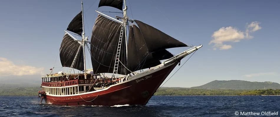 Seven Seas - image Seven Seas - image
