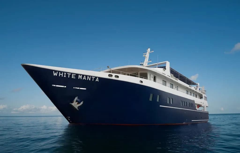 White Manta Explorer - image White Manta Explorer - image