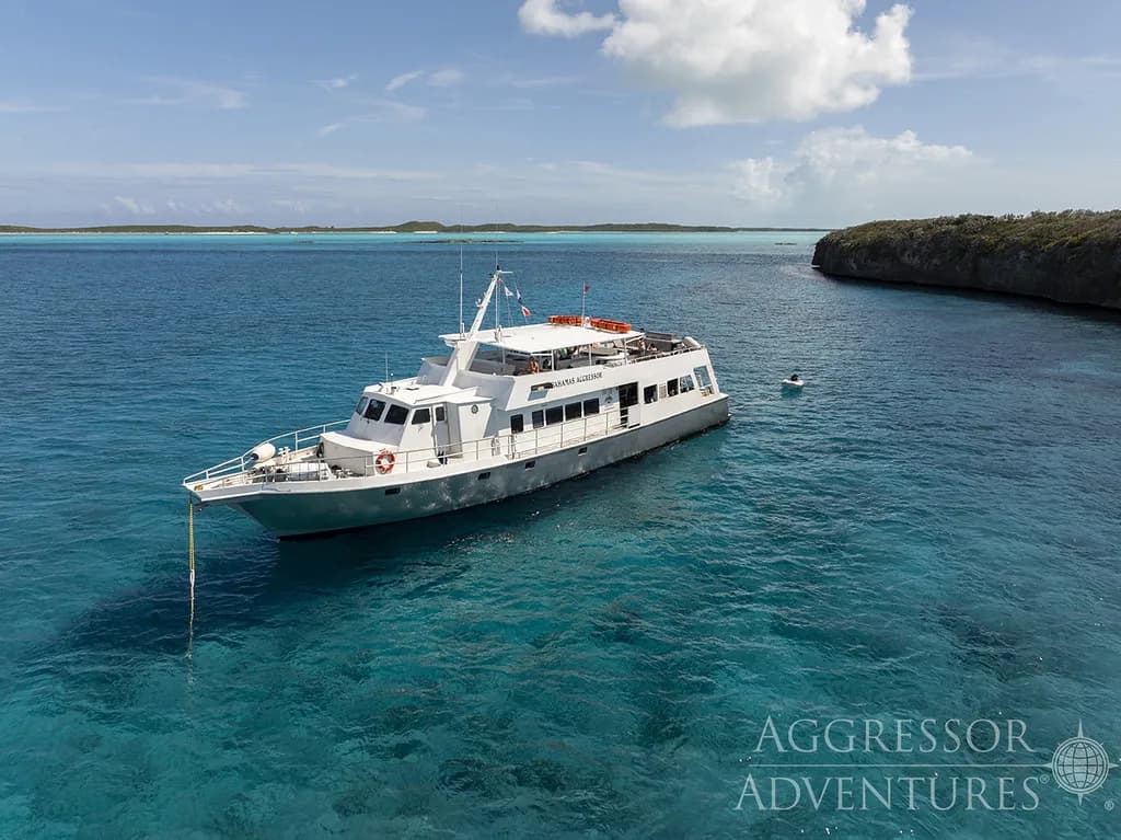 Belize Aggressor V - image Belize Aggressor V - image