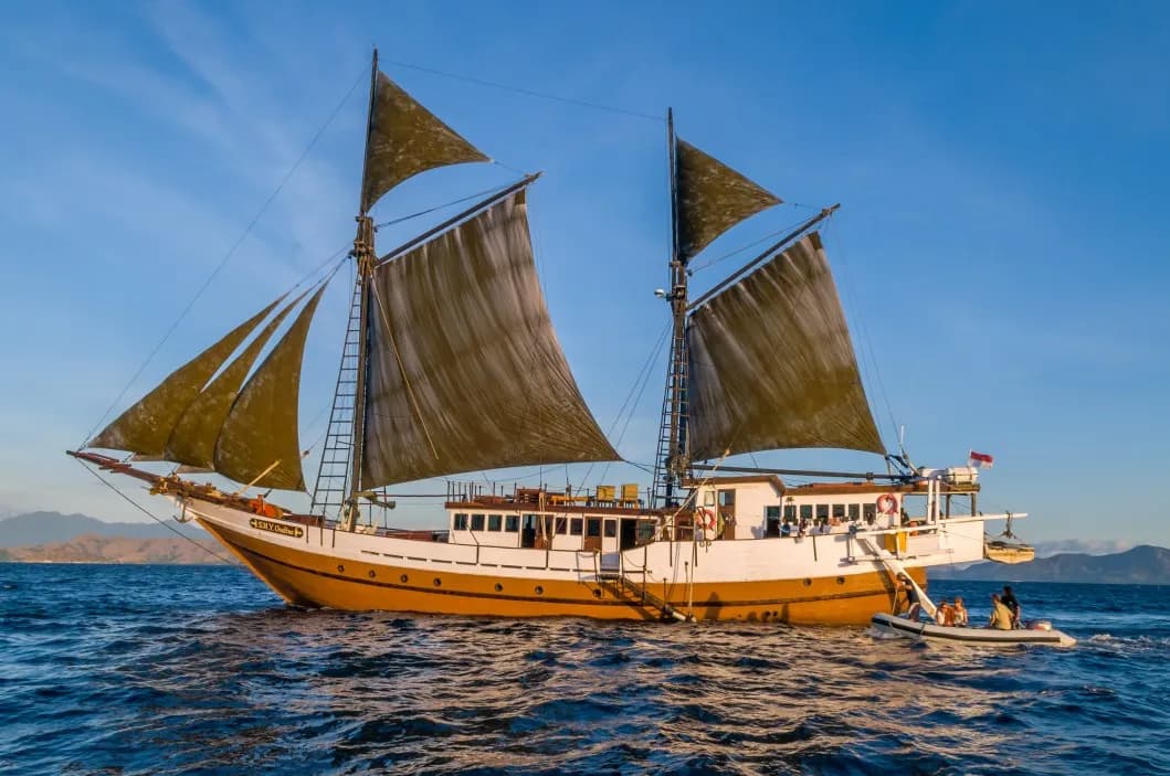 Ondina - image Ondina - image