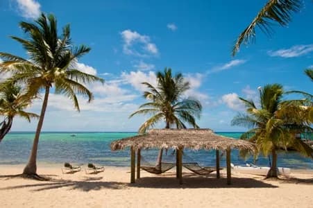 A beach cabana with hammocks at Little Cayman Beach Resort A beach cabana with hammocks at Little Cayman Beach Resort