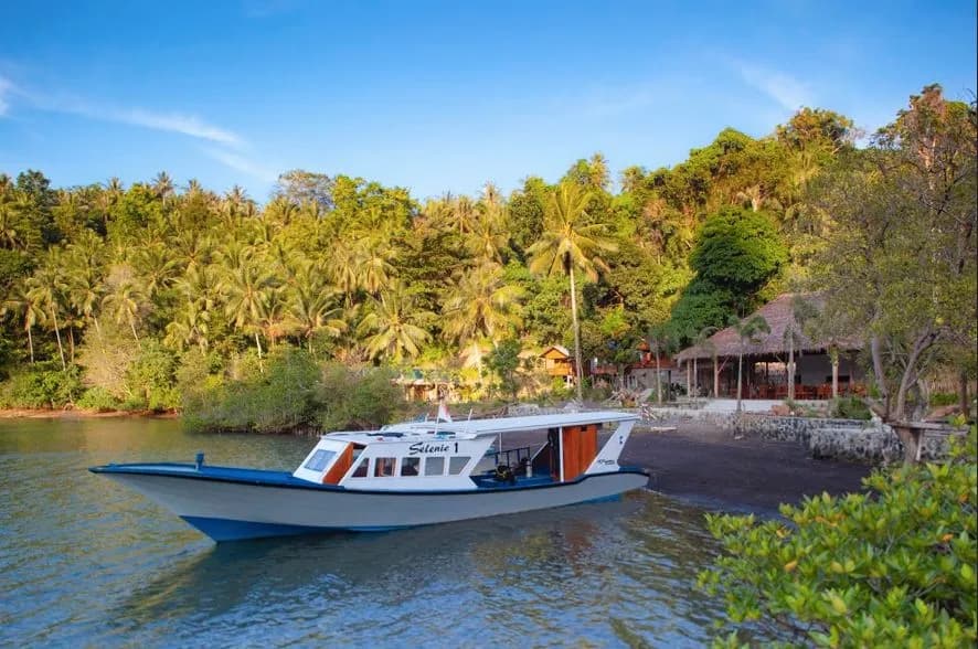 Dive boat Dive boat