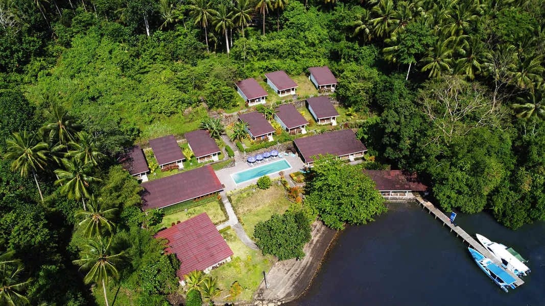 Thalassa Dive Resort Lembeh - image Thalassa Dive Resort Lembeh - image
