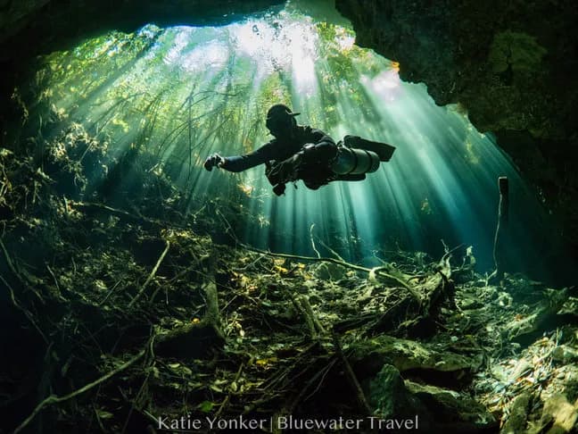Mexico Dive Resorts - image Mexico Dive Resorts - image