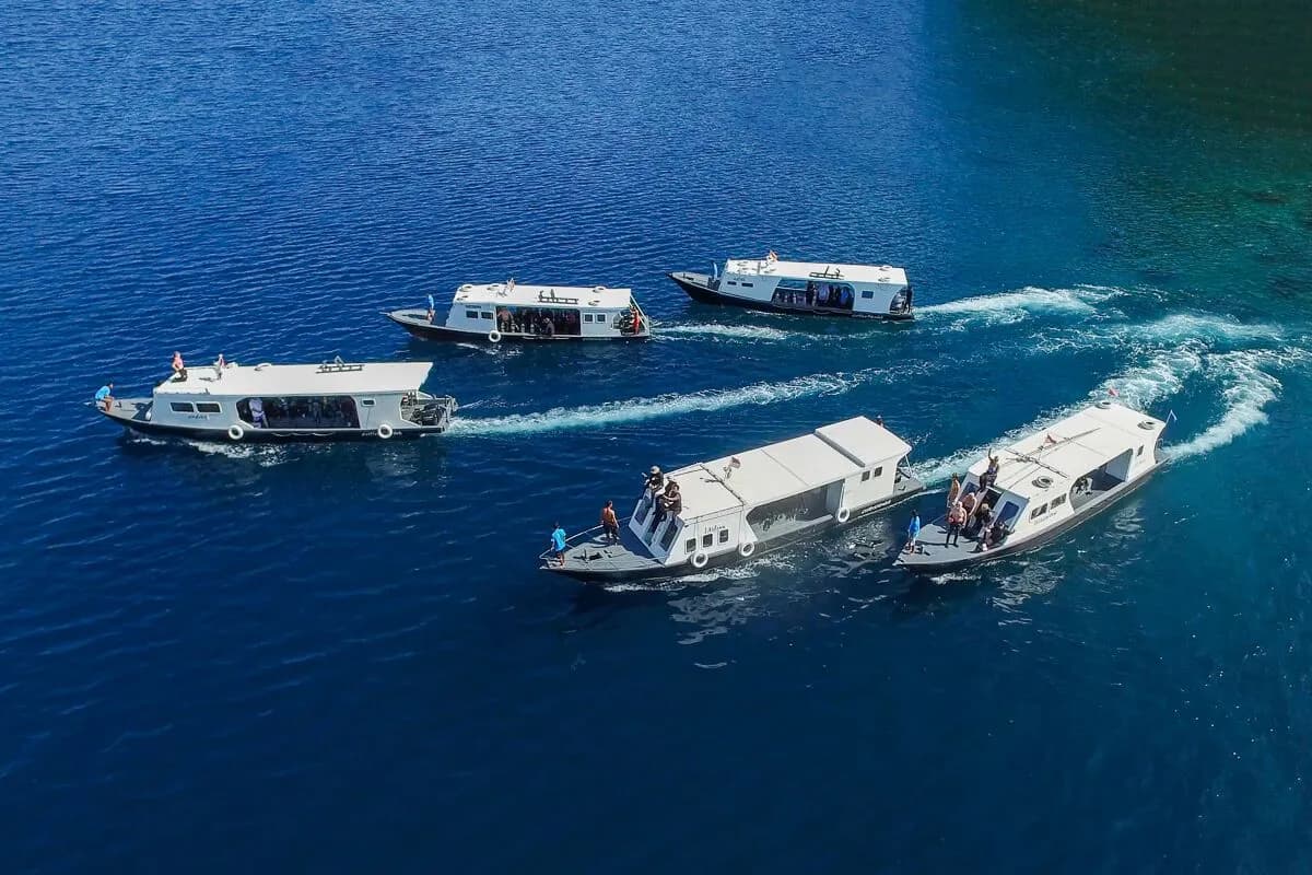 A fleet of boats A fleet of boats