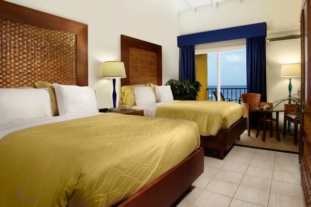 Divi Flamingo Beach Resort & Casino Divi Flamingo Beach Resort & Casino