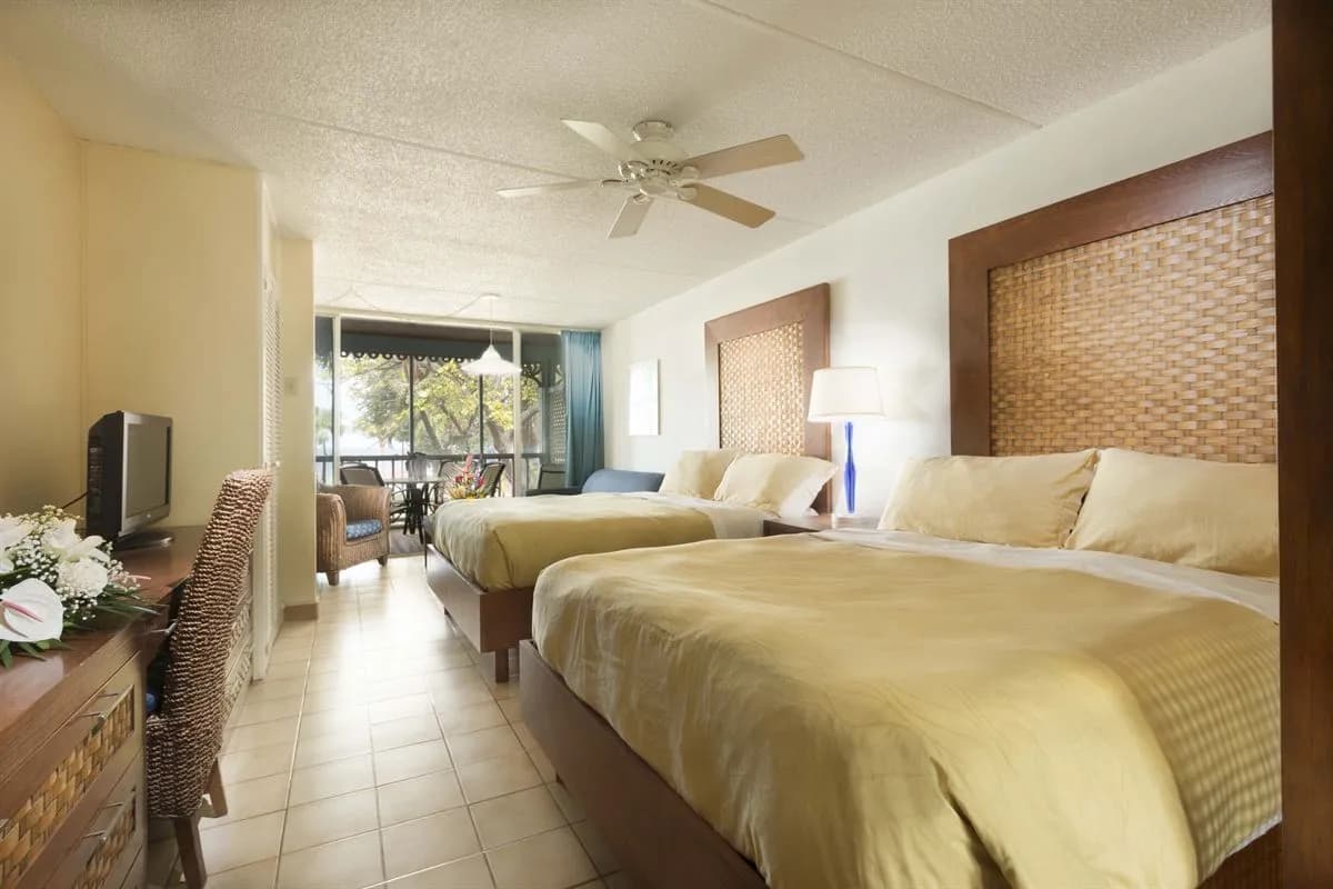 Spacious Studio Rooms Spacious Studio Rooms