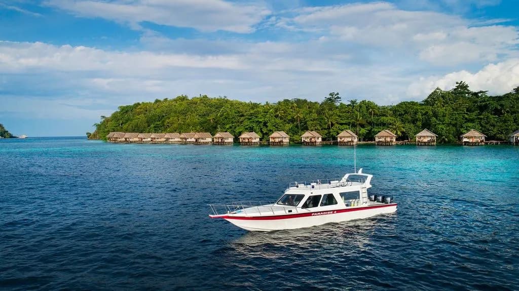 Papua Paradise Eco Resort Boat Papua Paradise Eco Resort Boat