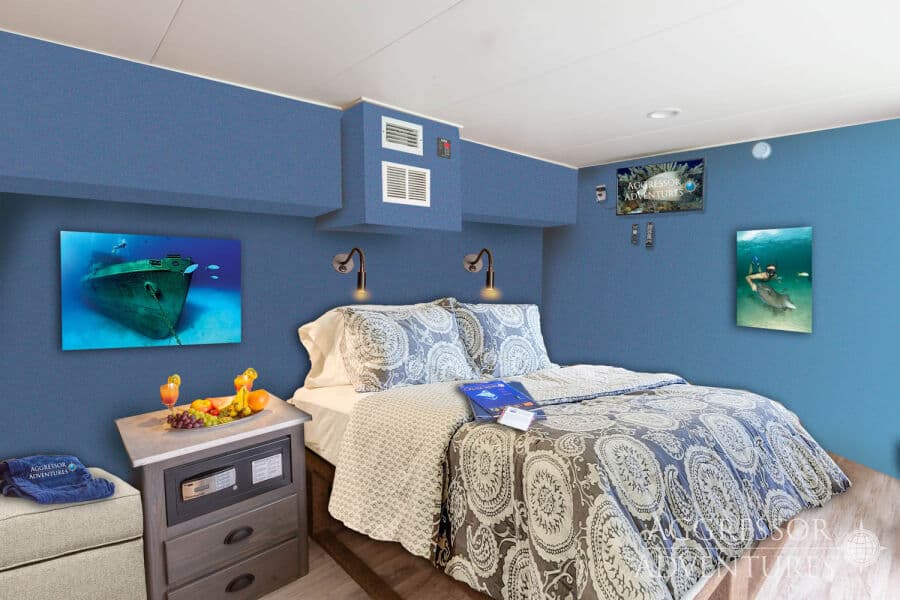 Master Stateroom Main Deck - image Master Stateroom Main Deck - image