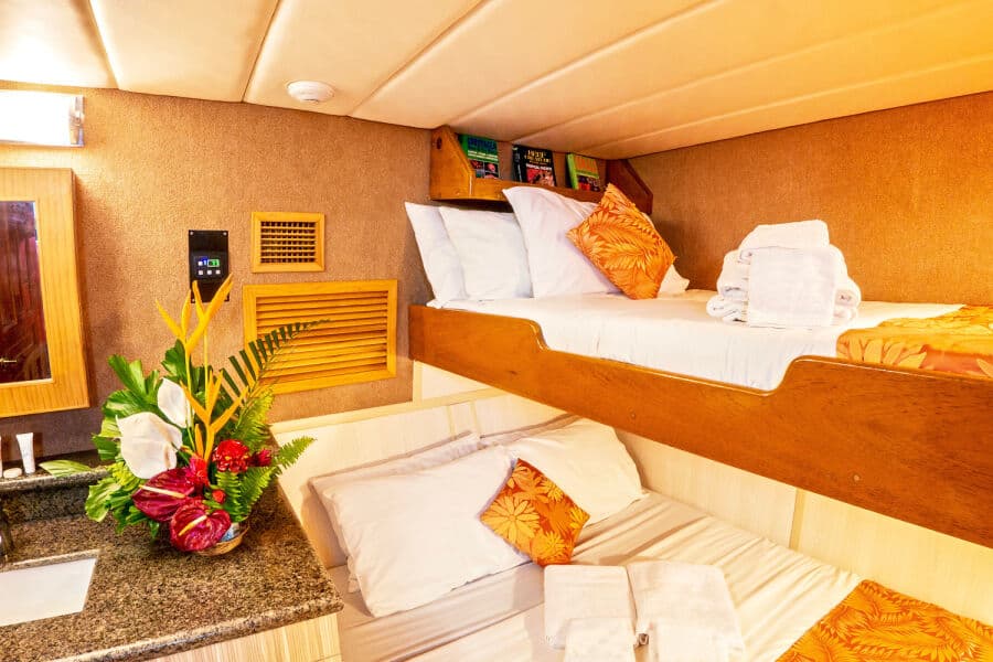 Deluxe Lower Deck - image Deluxe Lower Deck - image