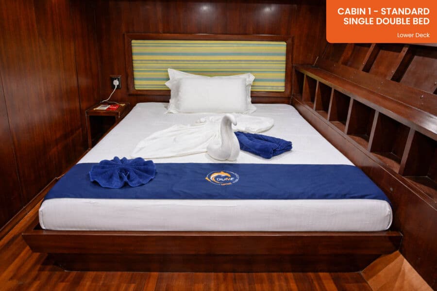 Standard Lower Deck - image Standard Lower Deck - image