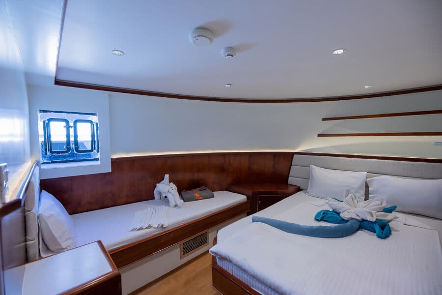 Double Main Deck - image Double Main Deck - image
