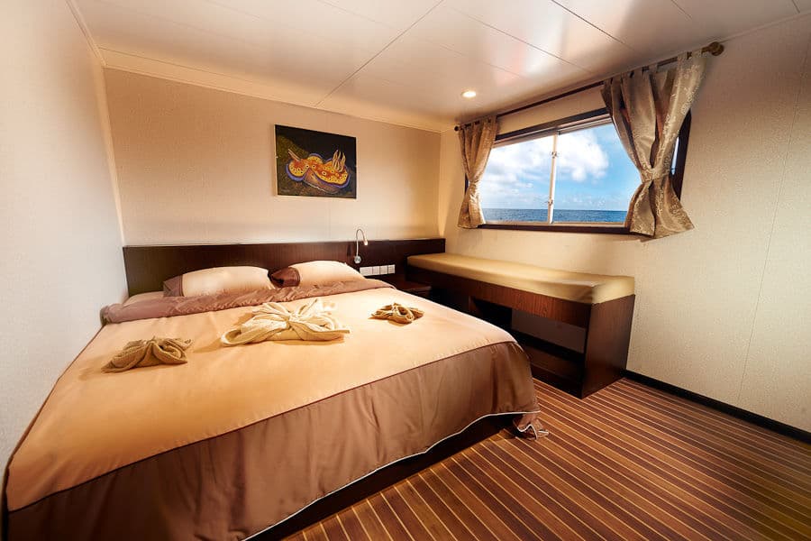 Stateroom - image Stateroom - image