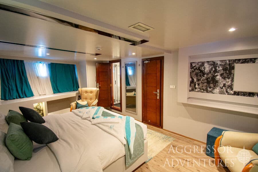 Master Upper Deck - image Master Upper Deck - image